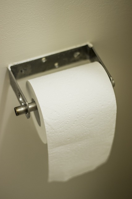 Running Toilet