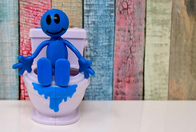 running-toilet-640x480-72873612.jpeg