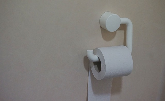 running-toilet-640x480-73697611.jpeg