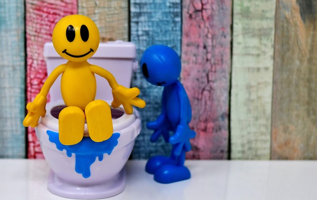 Running Toilet