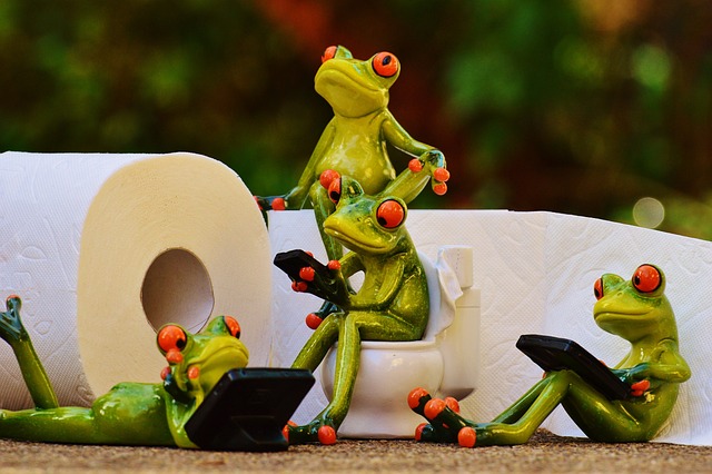 Running Toilet
