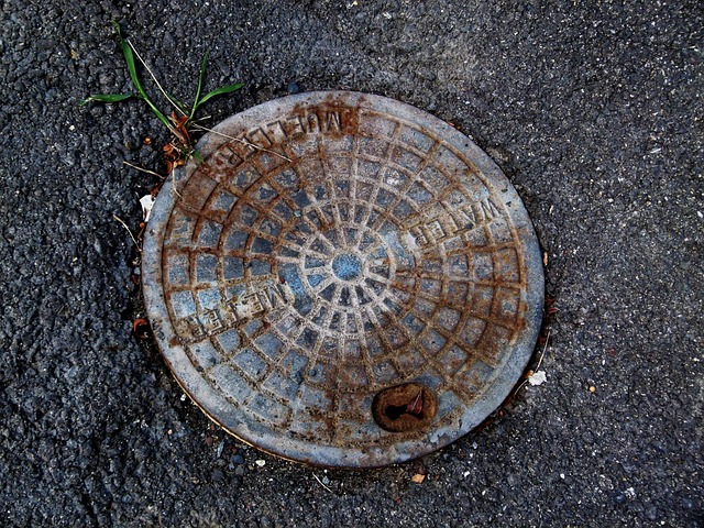 Sewer Line Emergencies: Immediate Action & Repair Guide
