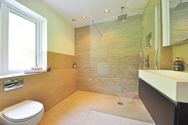 shower-head-640x480-29241278.jpeg