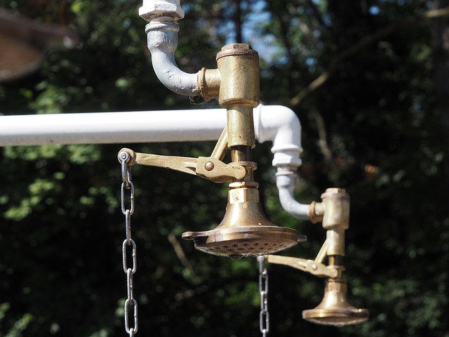Shower Head
