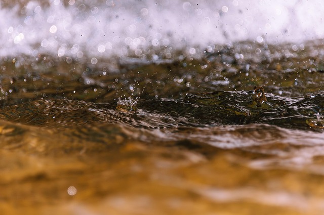 Tankless Water Heaters: Efficient, Space-Saving Solutions for Modern Homes