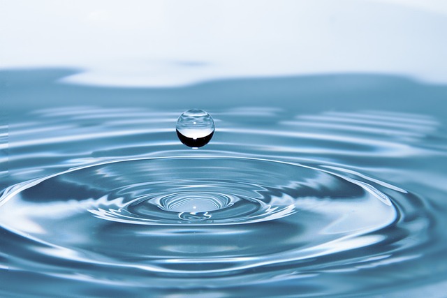 Water Heater