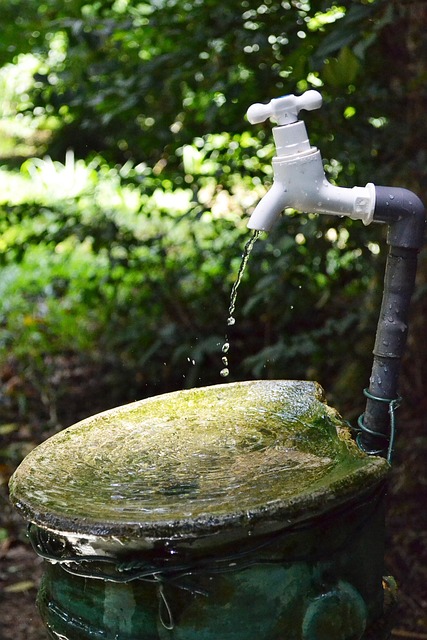 Water Pipe Leak