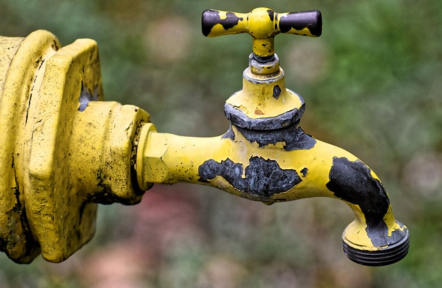 When DIY Fails: When to Trust Plumbers for Effective Pipe Leak Detection