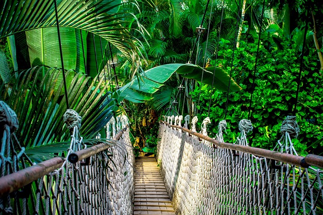 billiard Bridge