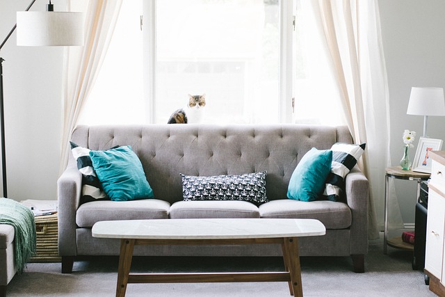 House Sitters in TX: Finding Reliable Care for Vacation Rentals