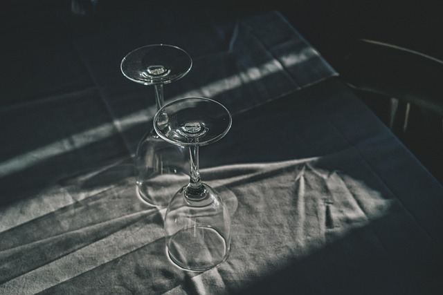 House Sitting Services in TX: Solutions for Busy Professionals