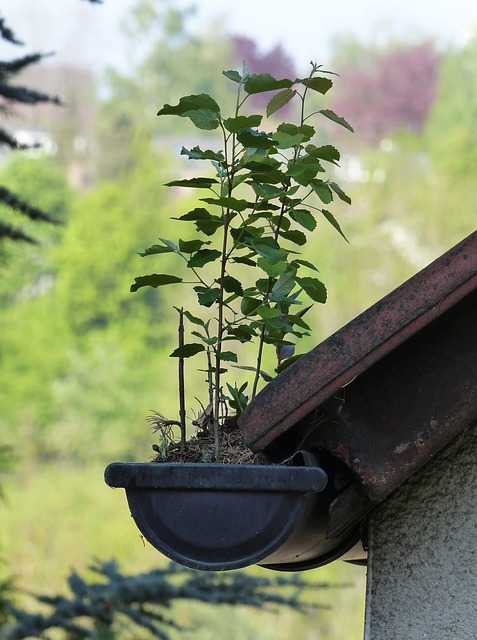 Unclog Problems Early: Signs, Costs, and Prevention Tips