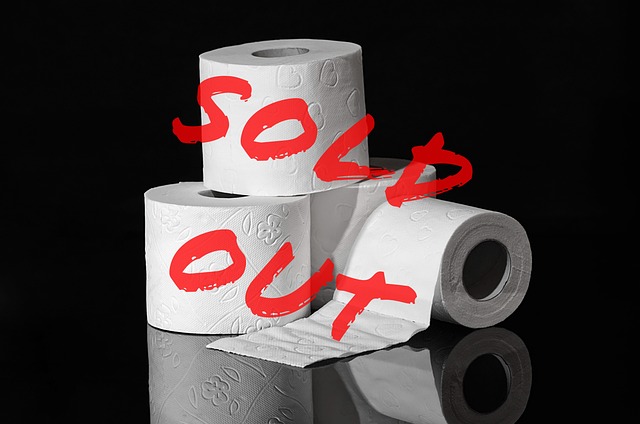 clogged Toilet