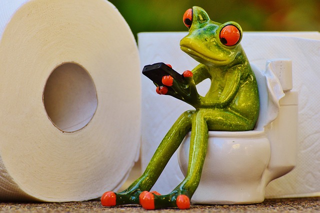 clogged Toilet