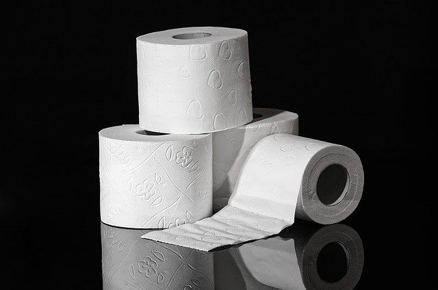 clogged Toilet