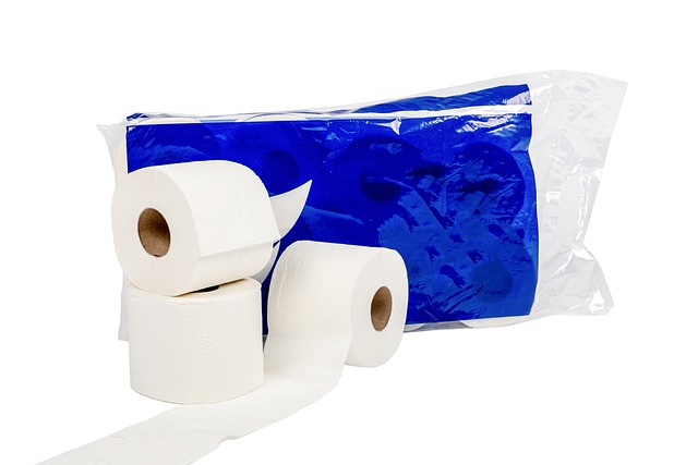 clogged Toilet
