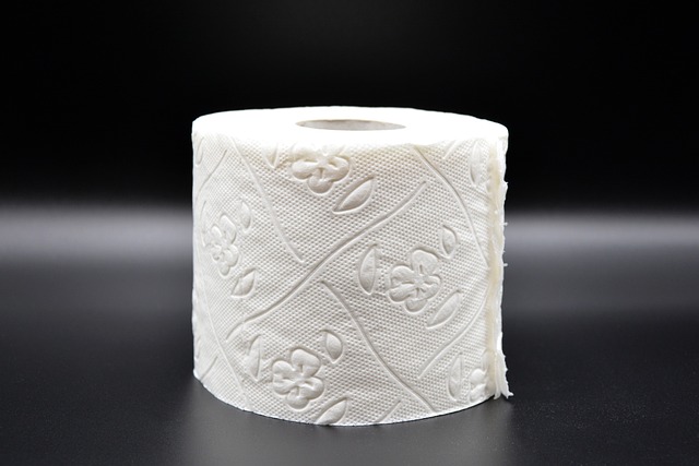 Unclog Your Toilet: Proven Strategies and Debunked Myths