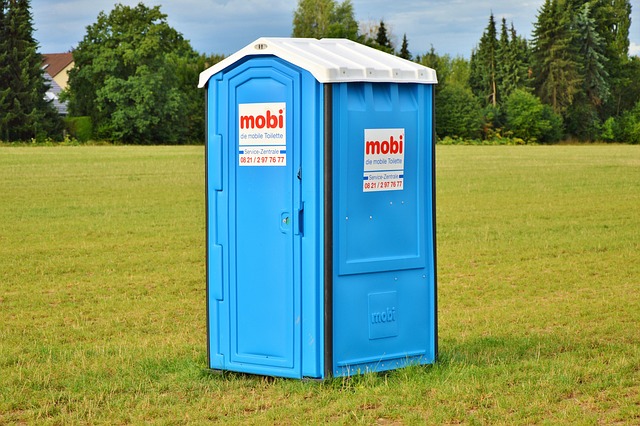 clogged Toilet
