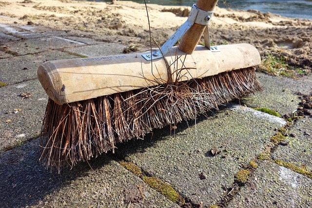 Drain Cleaners