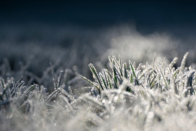 Frozen Pipes