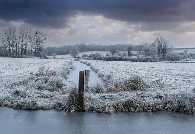 Frozen Pipes