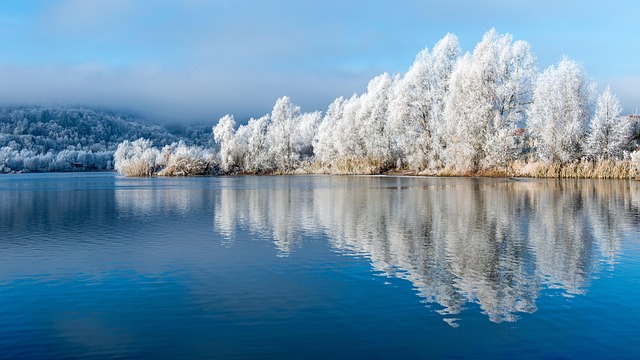 Frozen Pipes