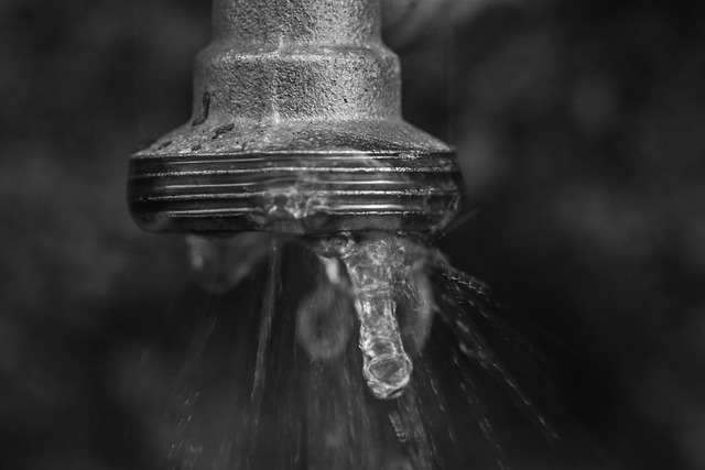 Quick Fix: Identifying & Repairing Common Leaky Faucet Issues