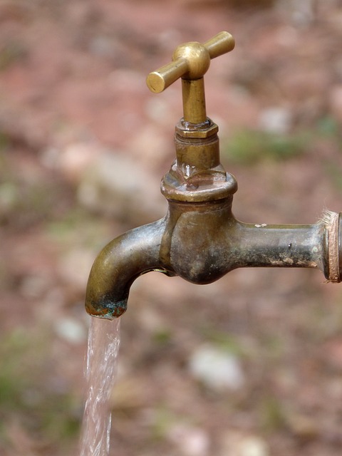 Quick Fixes for Your Leaky Faucet: Step-by-Step Guide