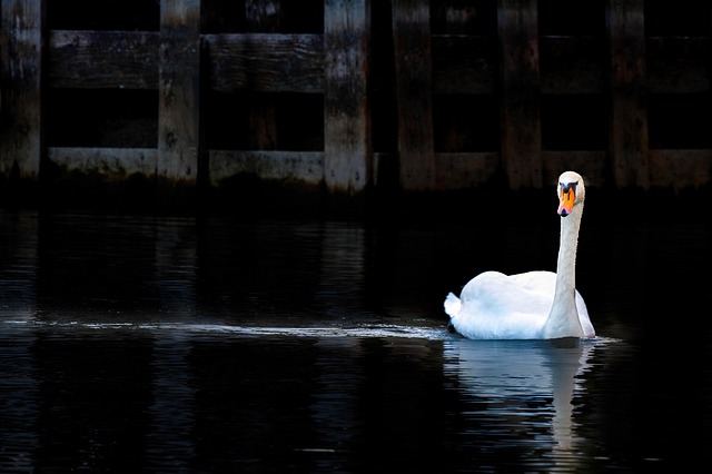 Low Water Pressure