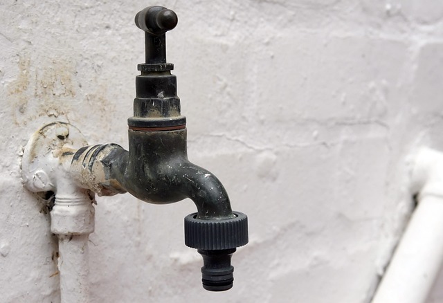 Unclog Drains: Common Causes, Quick Fixes, & Prevention Tips