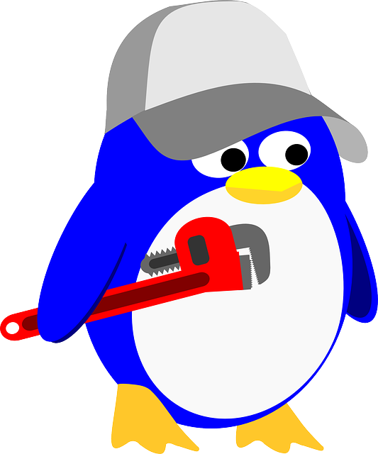 Professional Plumber
