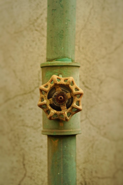 Unmasking Plumbing Problems: Boost Your Water Pressure Solutions