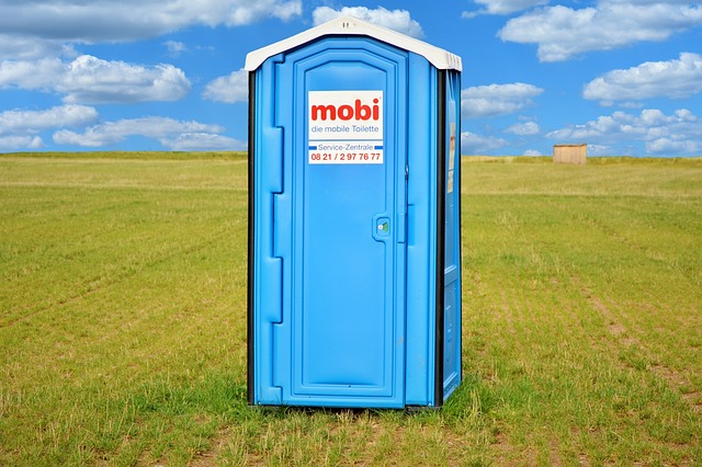 Running Toilet