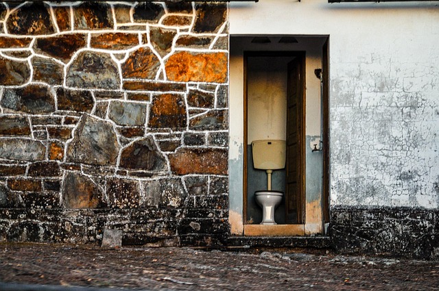 Running Toilet