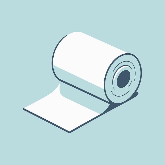 Running Toilet