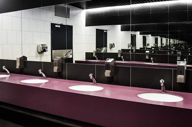 How to Stop a Running Toilet: Troubleshooting Common Tank Issues
