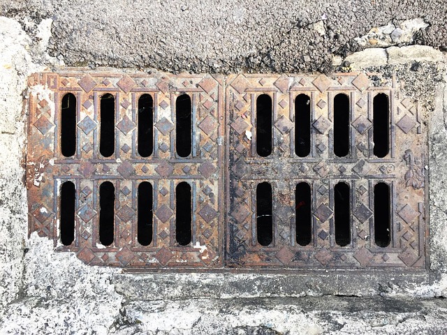 Sewer Line Repair Guide: Diagnose, Fix, and Prevent Costly Issues