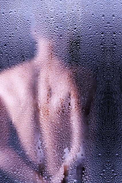 Shower Head