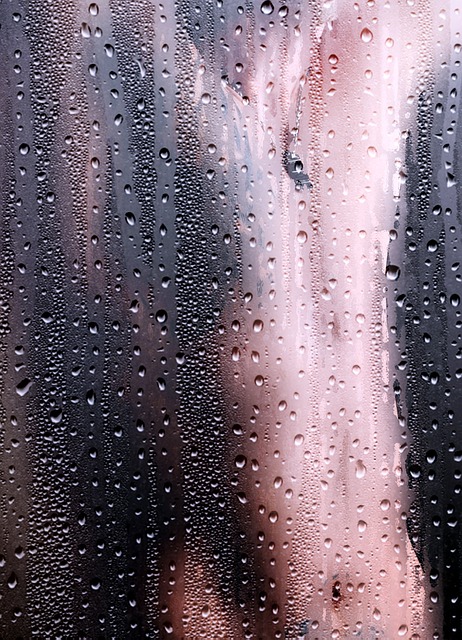 Shower Head