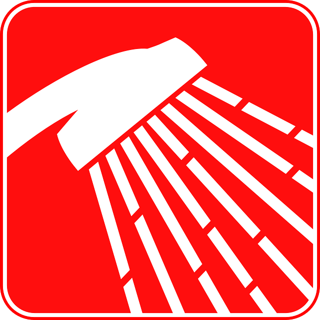 Shower Head