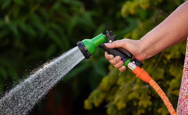 Water Pipe Leak